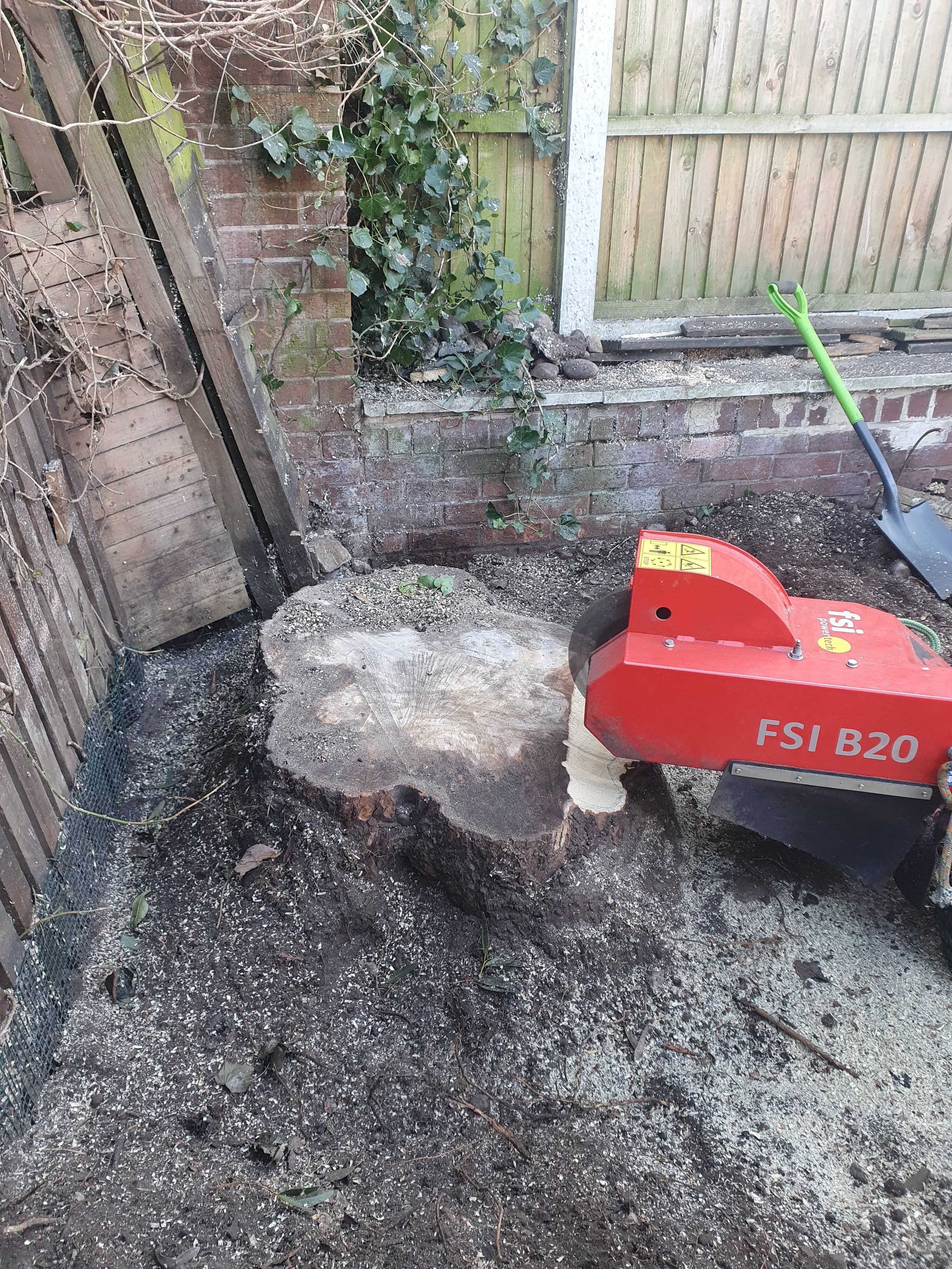 A red FSI B20 stump grinder machine cutting into a large tree stump in a garden.