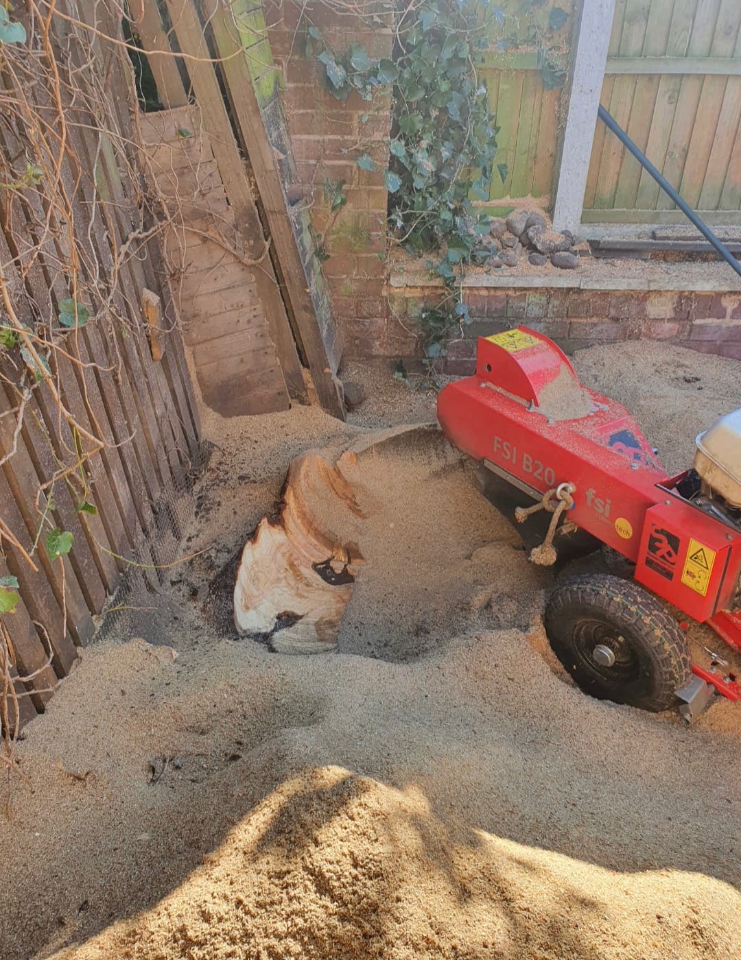 Red stump grinder machine next to a tree stump surrounded by a pile of sawdust.