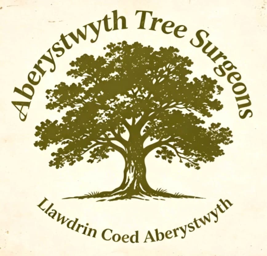 Aberystwyth Tree Surgeons logo featuring a large green leafy tree and Welsh text below.