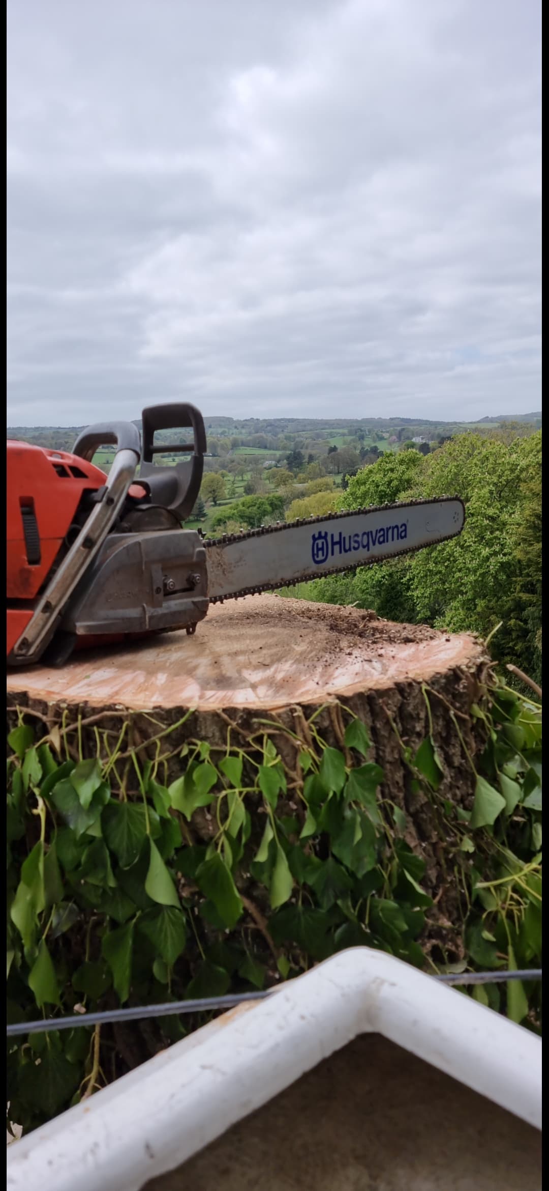 Husqvarna chainsaw resting on an ivy-covered tree stump overlooking a scenic green valley landscape.