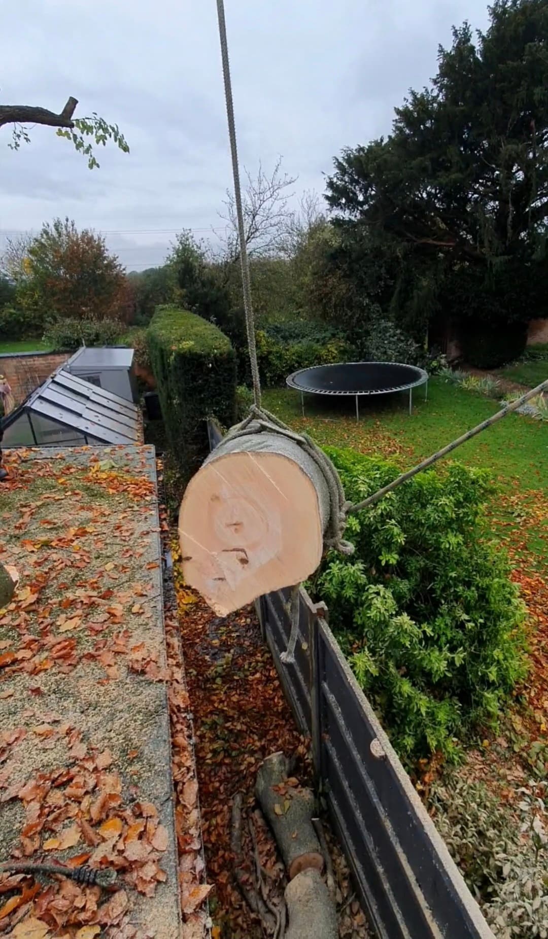 Large tree log suspended by ropes being lowered over a fence into a leafy backyard.
