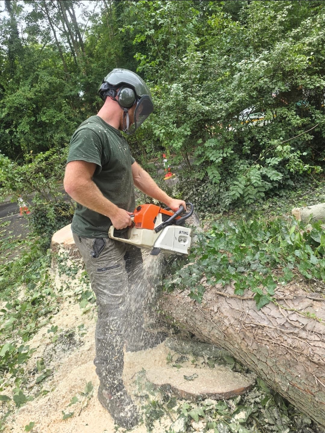 Man in safety gear cuts a large fallen tree trunk with a chainsaw, sawdust flying.